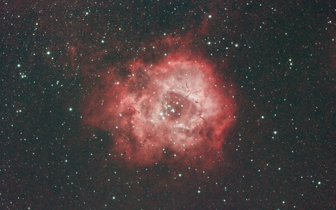 Rosette