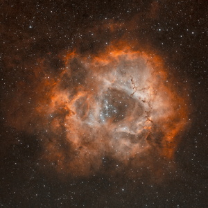 Rosette in false colours