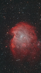Monkeys Head Nebula (Sh2-252)